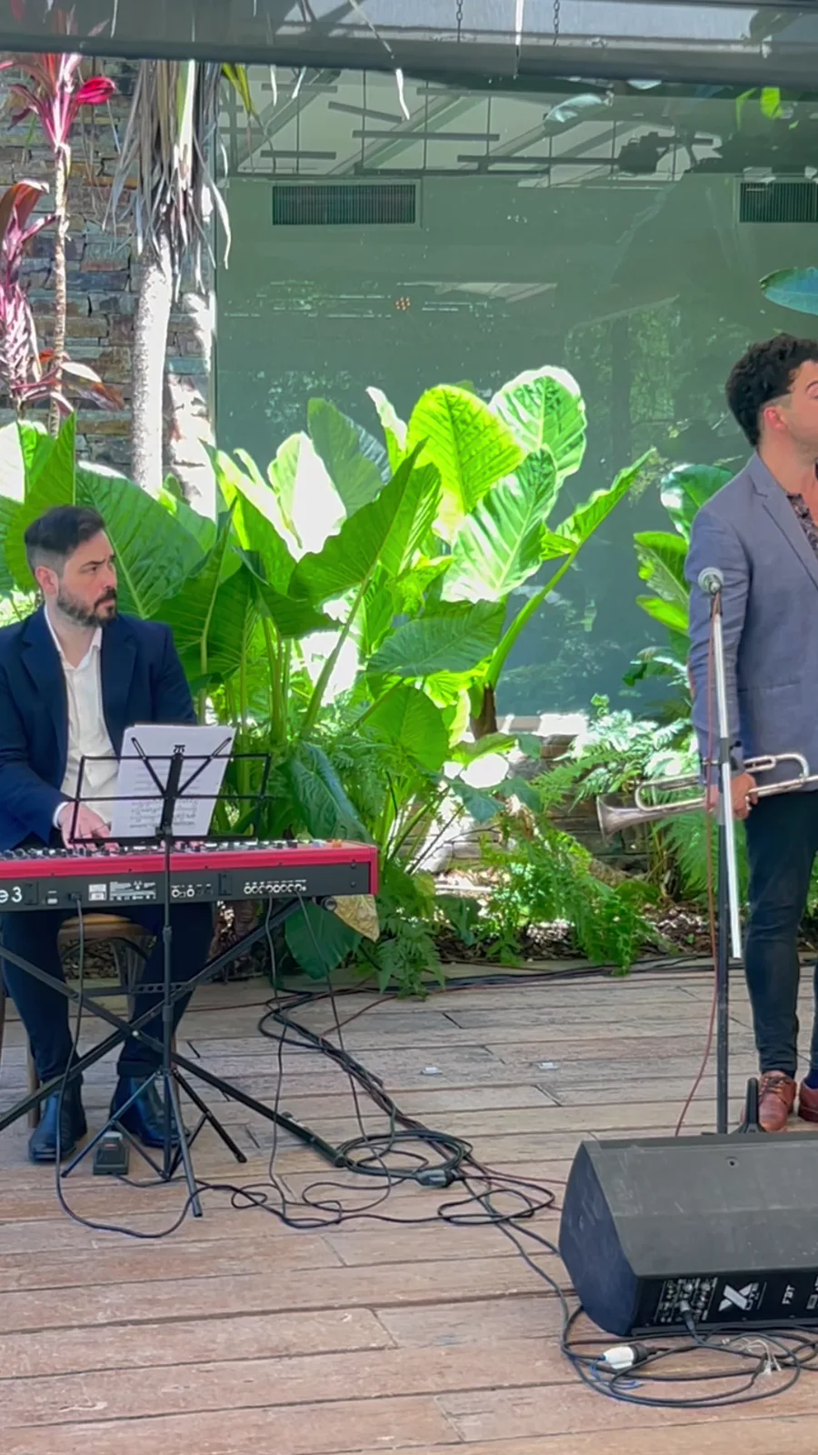 BJE en vivo en un evento