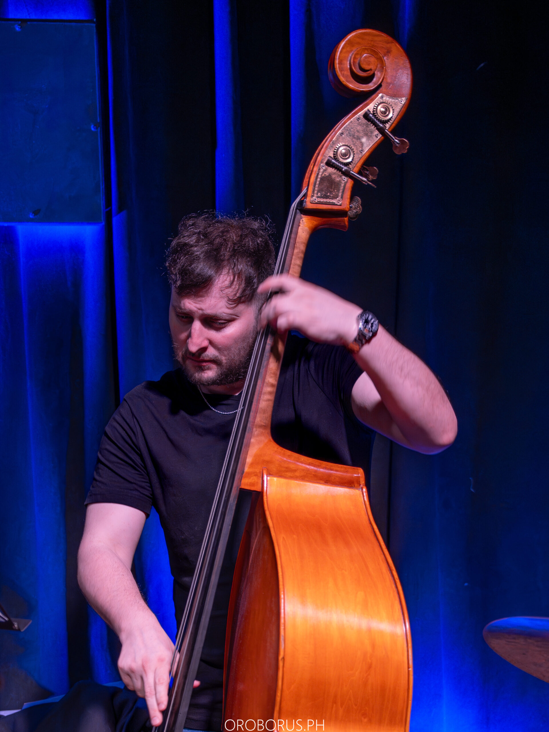 Contrabajo en Vivo